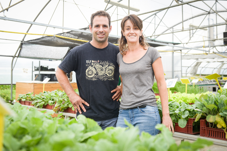 Mirentxu et Jakes Doyenhard produisent des plants bio de légumes pour les professionnels, à Saint-Pée-sur-Nivelle. ©Isabelle MIQUELESTORENA
