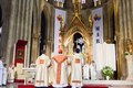 Gar_beatification_pere_cestac_cathedrale_sainte_marie_bayonne_isabellemiquelestorena06