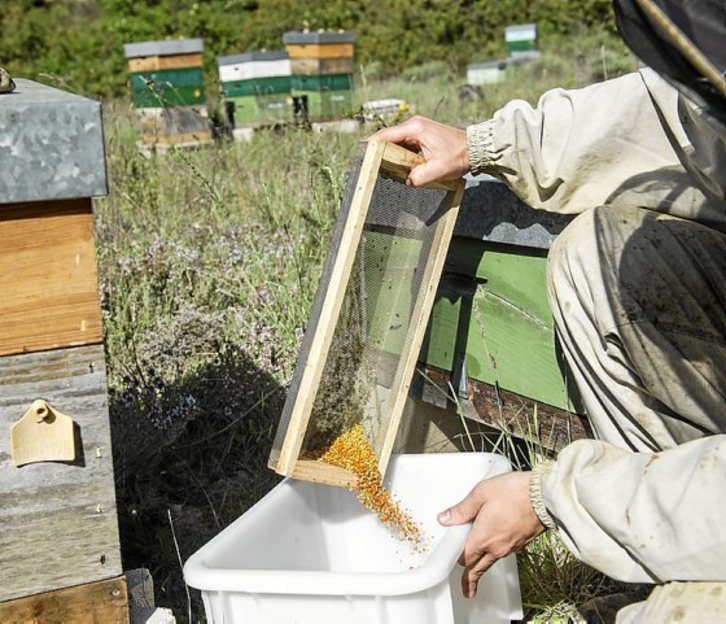 Samedi, un apiculteur apportera son témoignage à Bunus. © FOKU