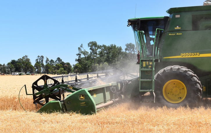 En 2018, 72 hectares de blé avaient été semés par des agriculteurs membres d'Herriko.