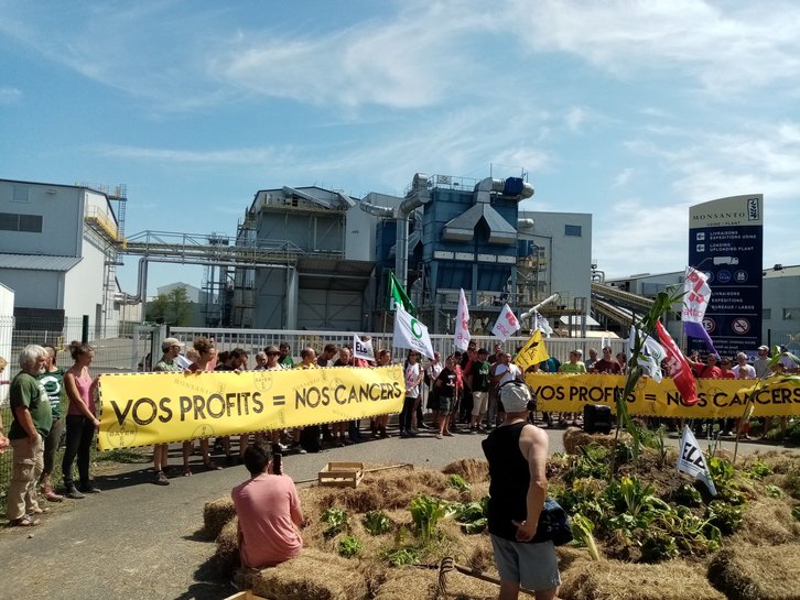 La multinationale Monsanto a été pointée du doigt ce 23 août. © Capture d'éran
