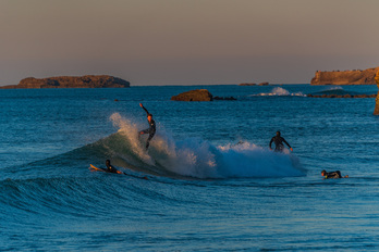 Au Pays Basque, le surf est né à Biarritz.
