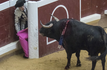 Corrida de toros en Ilunbe, Donostia, en Aste Nagusia de 2015. La primera tras tres años de prohibición.